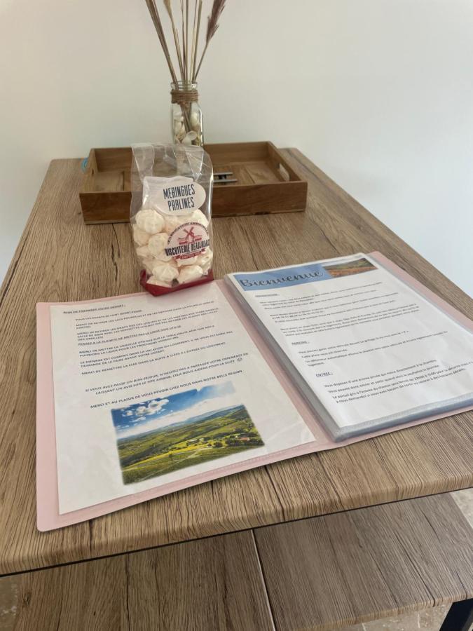 شقة Bienvenue En Beaujolais Saint-Jean-dʼArdières المظهر الخارجي الصورة